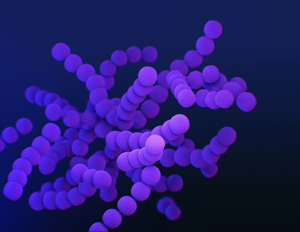 MICROBIOTA FEMMINILE: IL GUARDIANO INVISIBILE DELLA TUA SALUTE
