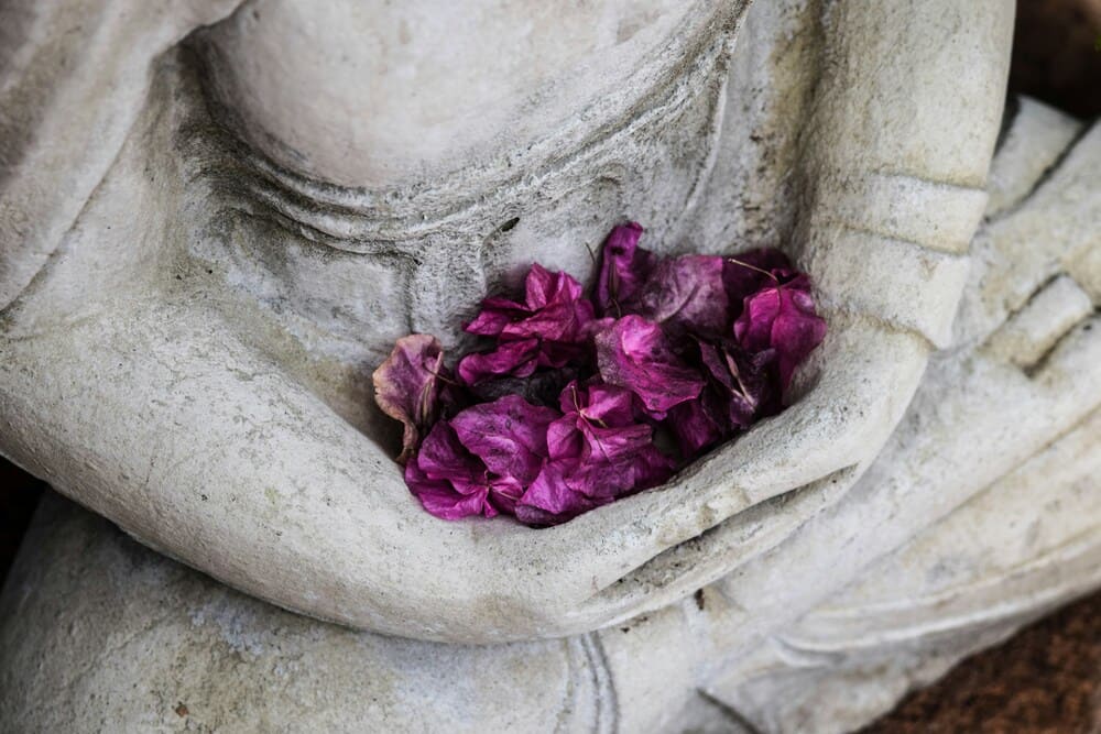 PMA E BENESSERE EMOTIVO: COME AFFRONTARE IL PERCORSO CON SERENITÀ 