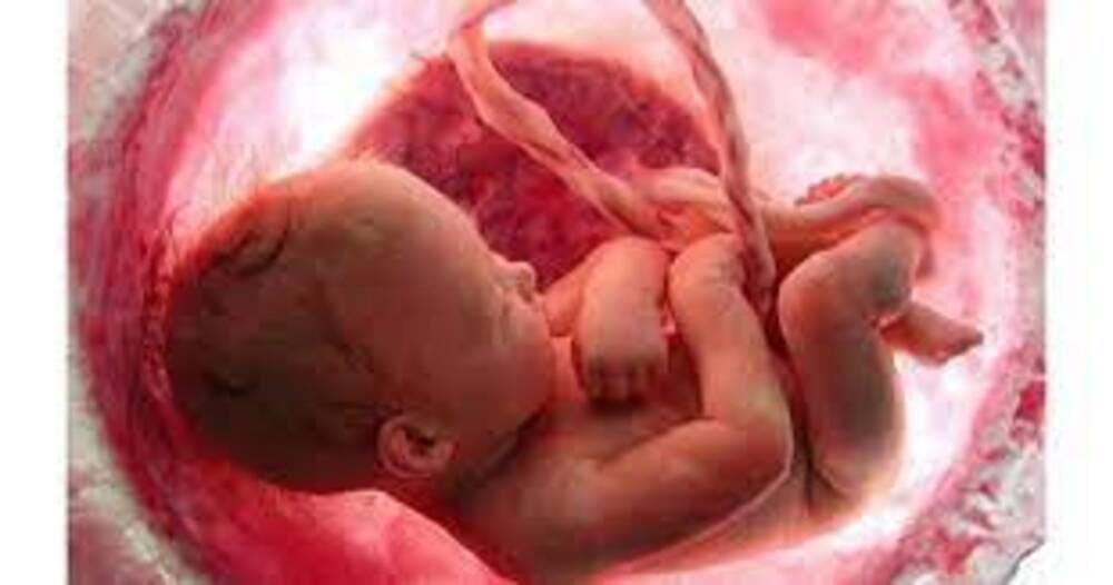 PERCHÉ IL MIO BAMBINO È PODALICO?